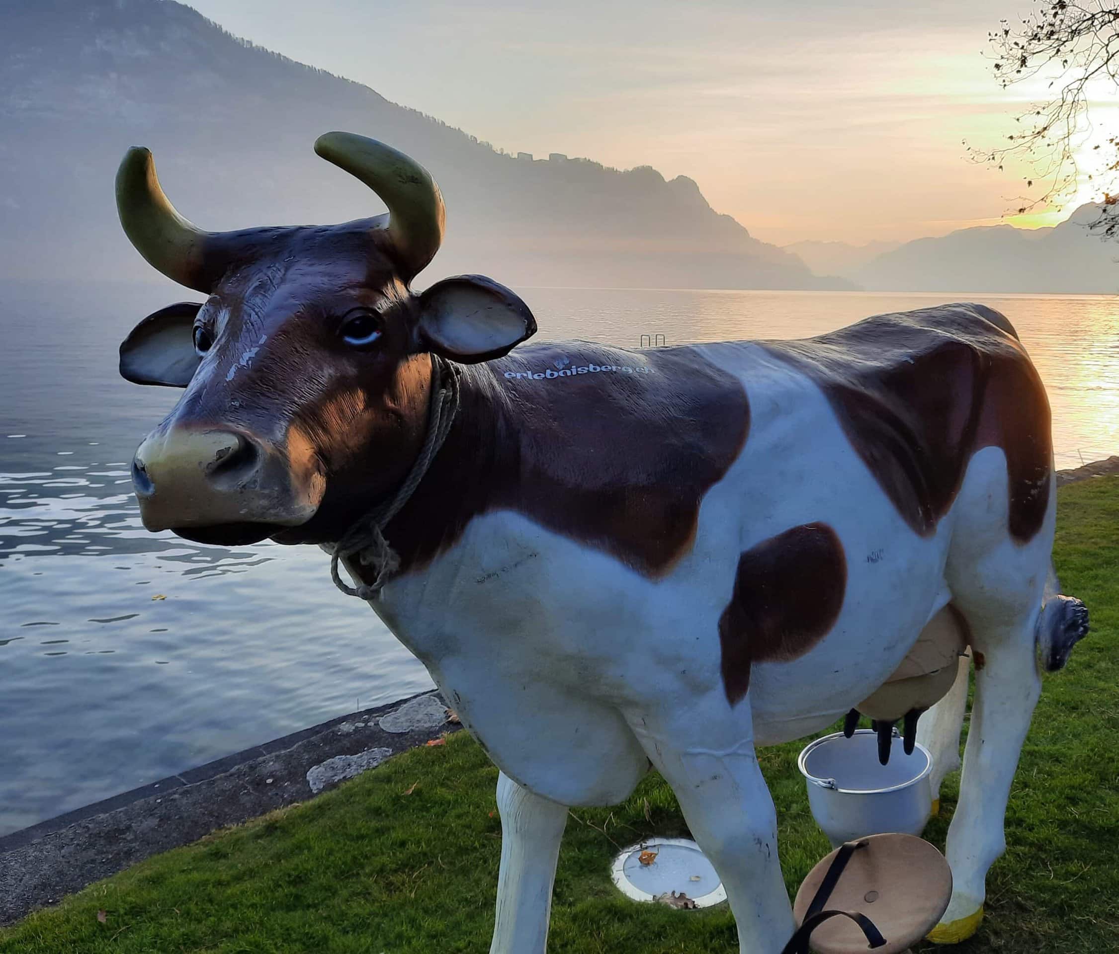 Cow sculpture by the lake at sunset