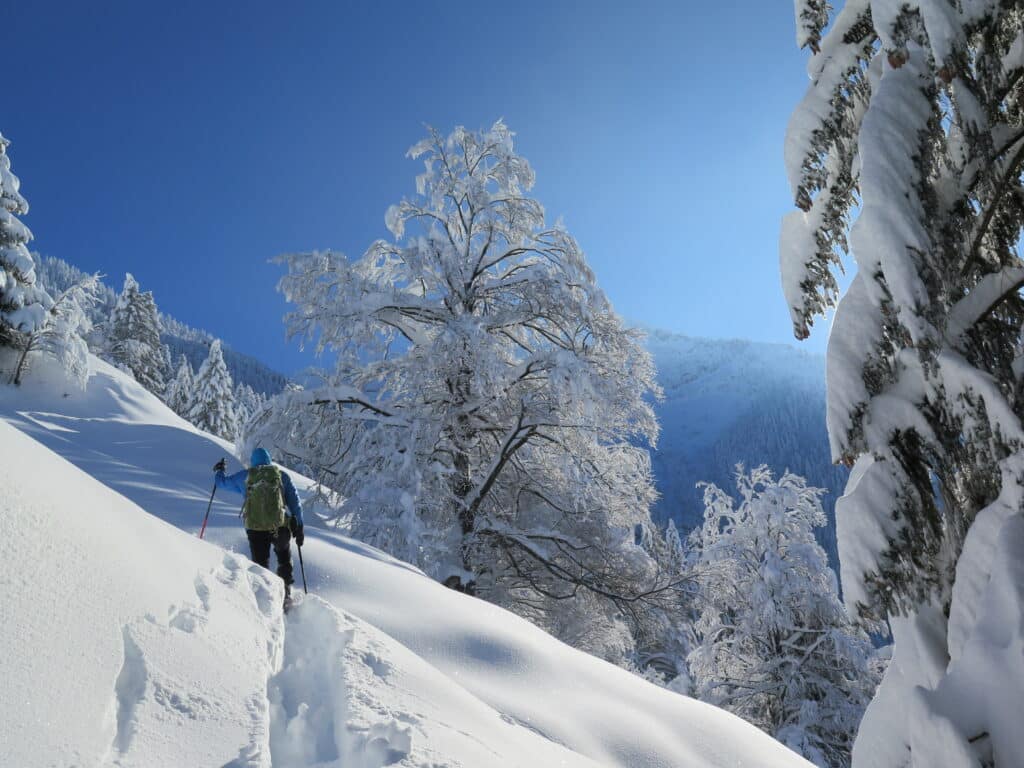 Hikers in the snowy mountain forest.