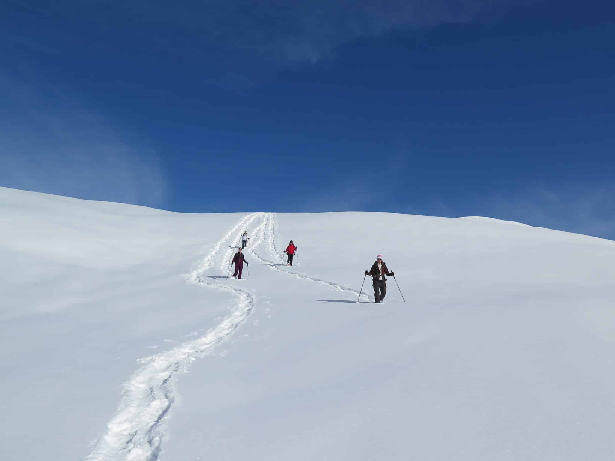 People walking in the snow under a blue sky.