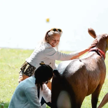 Woman petting horse in sunny park.