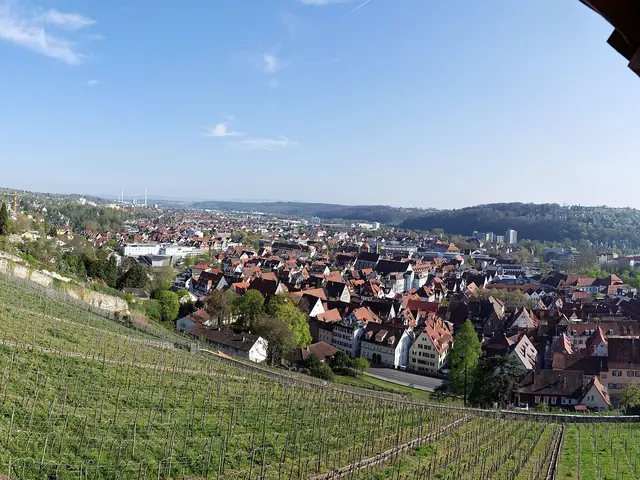 Blick über die Weinberge auf die Altstadt von Esslingen am Neckar